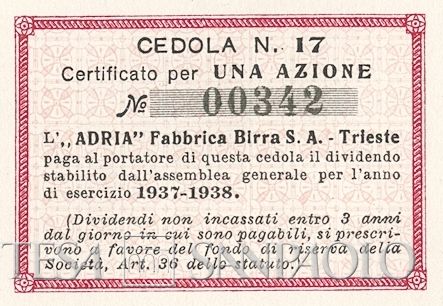 Adria Fabbrica di birra SA, certificato azionario - 1a dettaglio