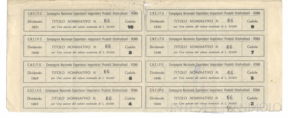 CNEIPO Compagnia nazionale esportatori importatori prodotti ortofrutticoli, certificato azionario nominativo - recto