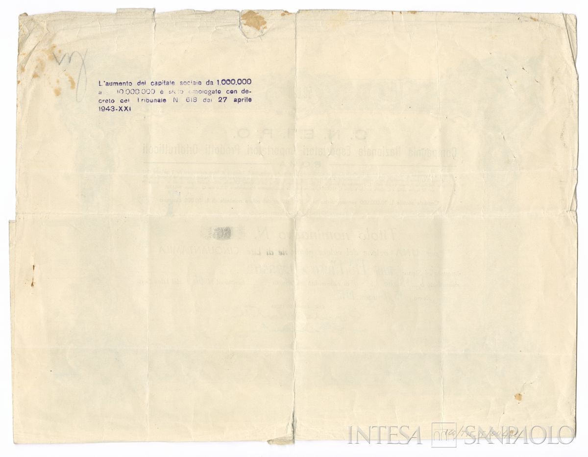 CNEIPO Compagnia nazionale esportatori importatori prodotti ortofrutticoli, certificato azionario nominativo - verso