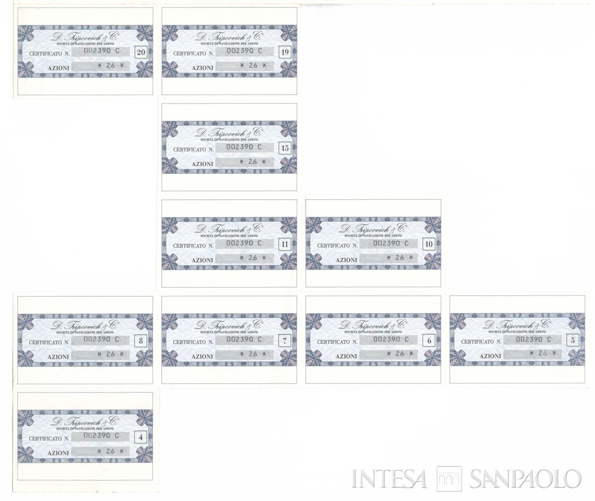 D. Tripovich & Ci. di Navigazione SpA, certificati azionari nominativi - recto a