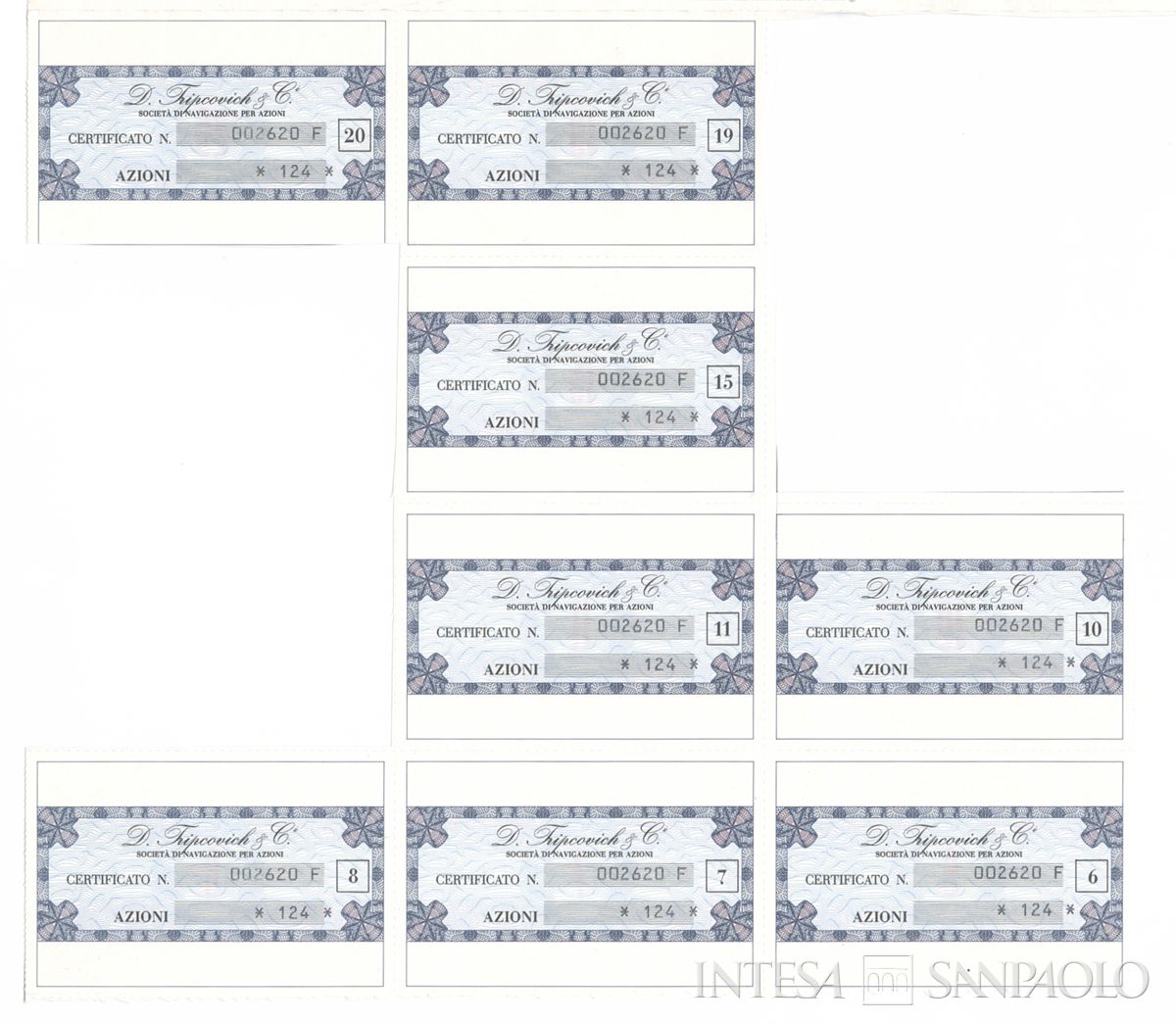 D. Tripovich & Ci. di Navigazione SpA, certificati azionari nominativi - recto b
