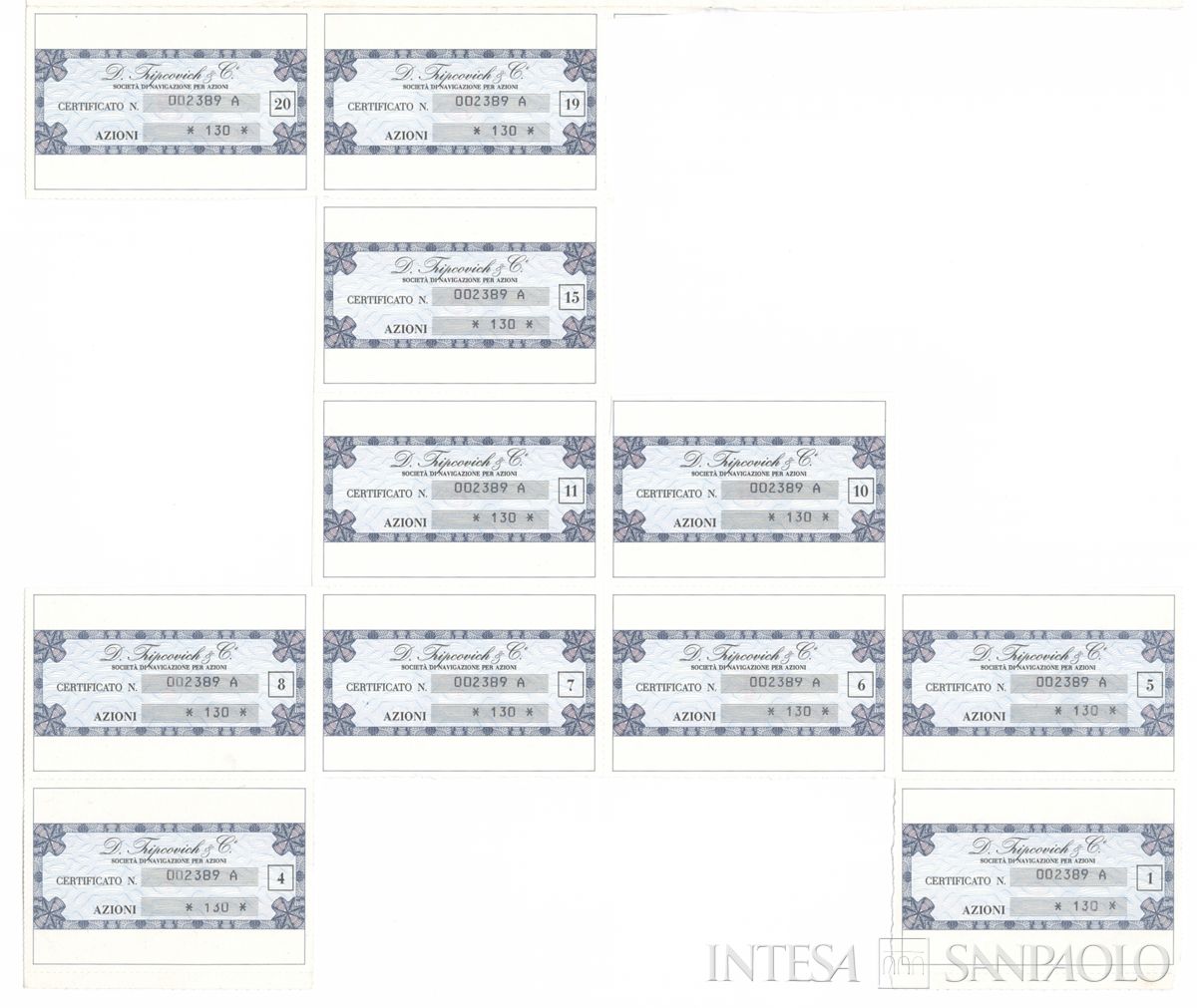D. Tripovich & Ci. di Navigazione SpA, certificati azionari nominativi - recto c