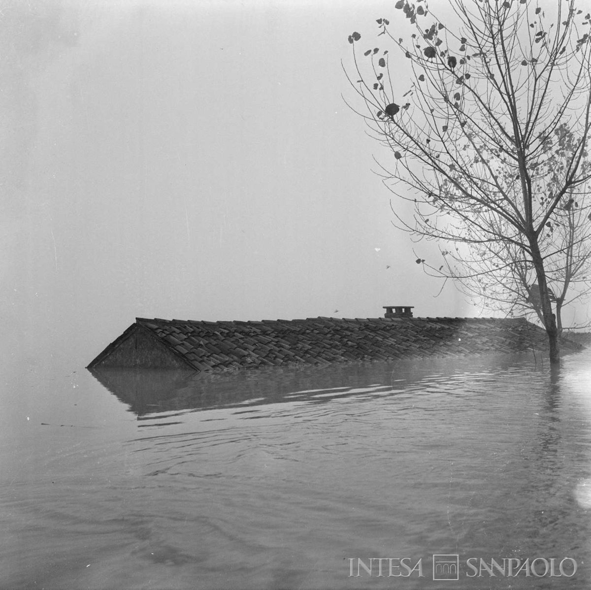 Alluvione del Polesine, 17 novembre 1951. Publifoto