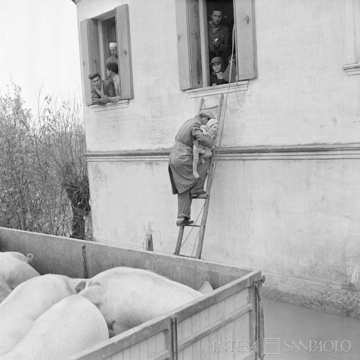 Alluvione del Polesine, 17 novembre 1951. Publifoto