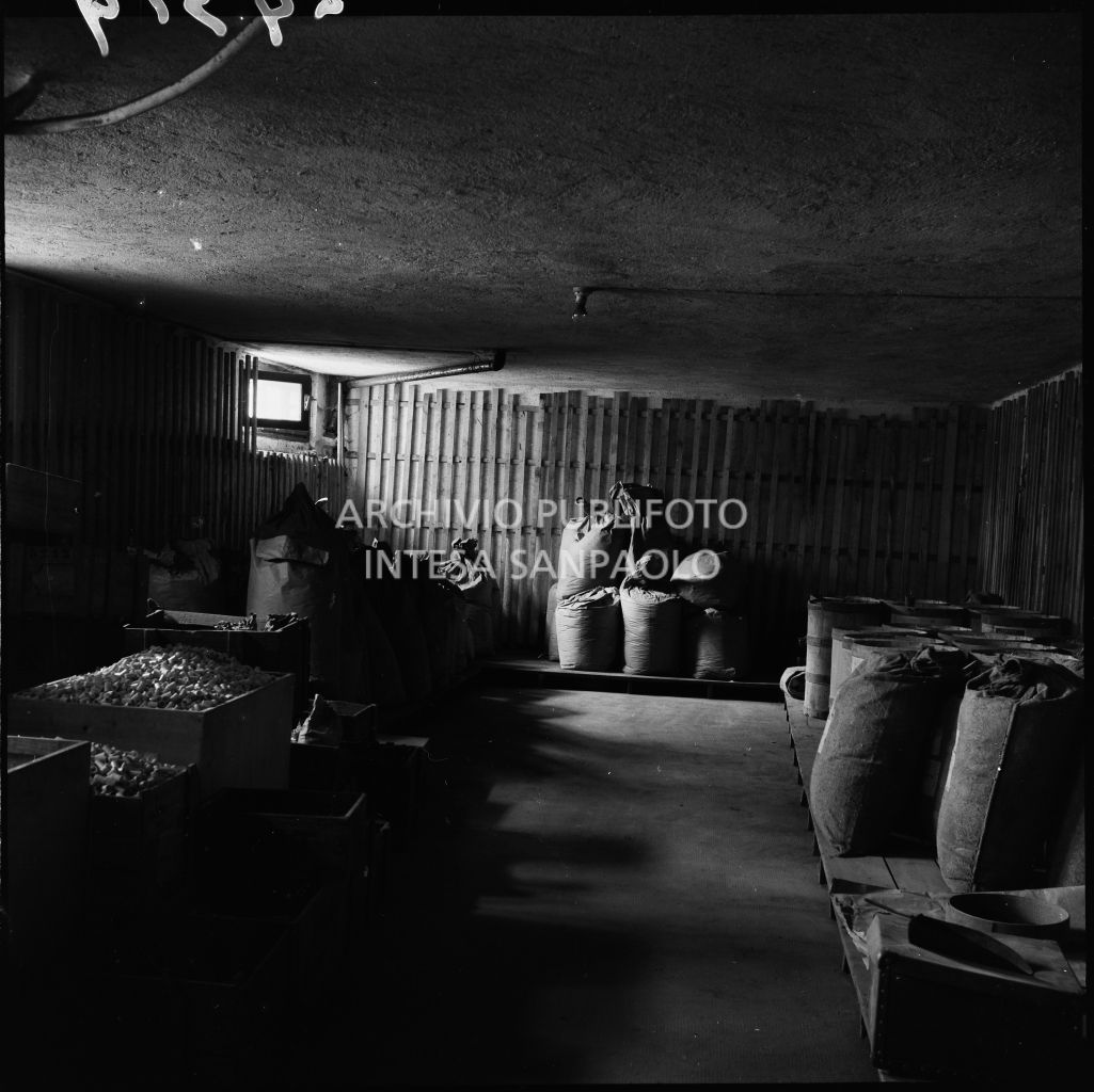 Magazzino presso lo stabilimento industriale Aldo Leonetti<br>24319