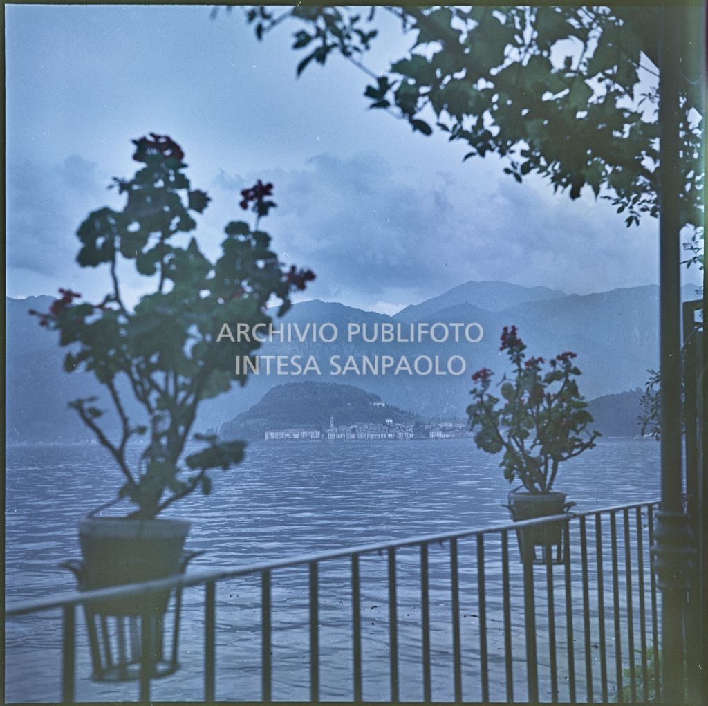 Vista delle montagne e del lago. in primo pianto una ringhiera con dei fiori<br>340