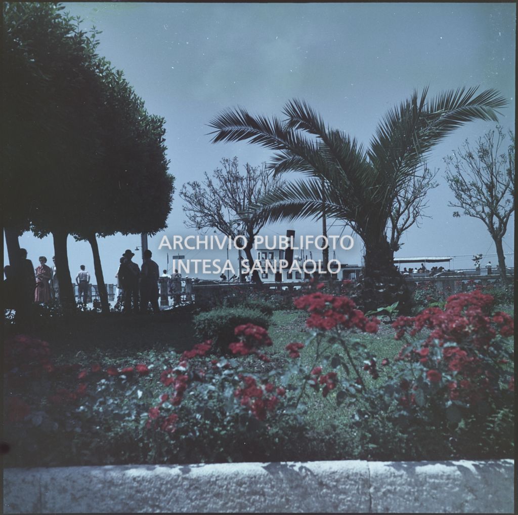 Veduta di un giardino con passanti. In lontananza si intravede un traghetto ormeggiato<br>359