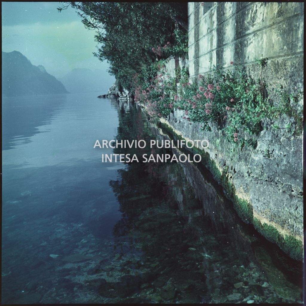 Vista del lago e di parte della scogliera con fiori<br>360