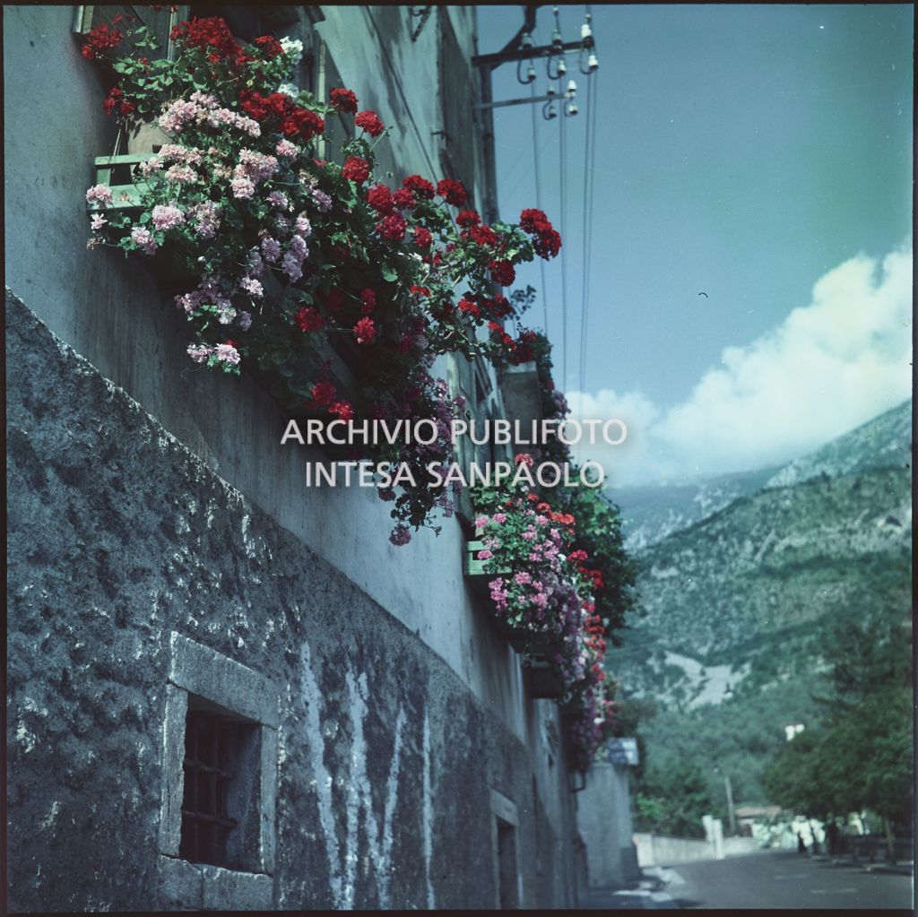 Vasi di fiori appesi alle finestre di un'abitazione<br>362