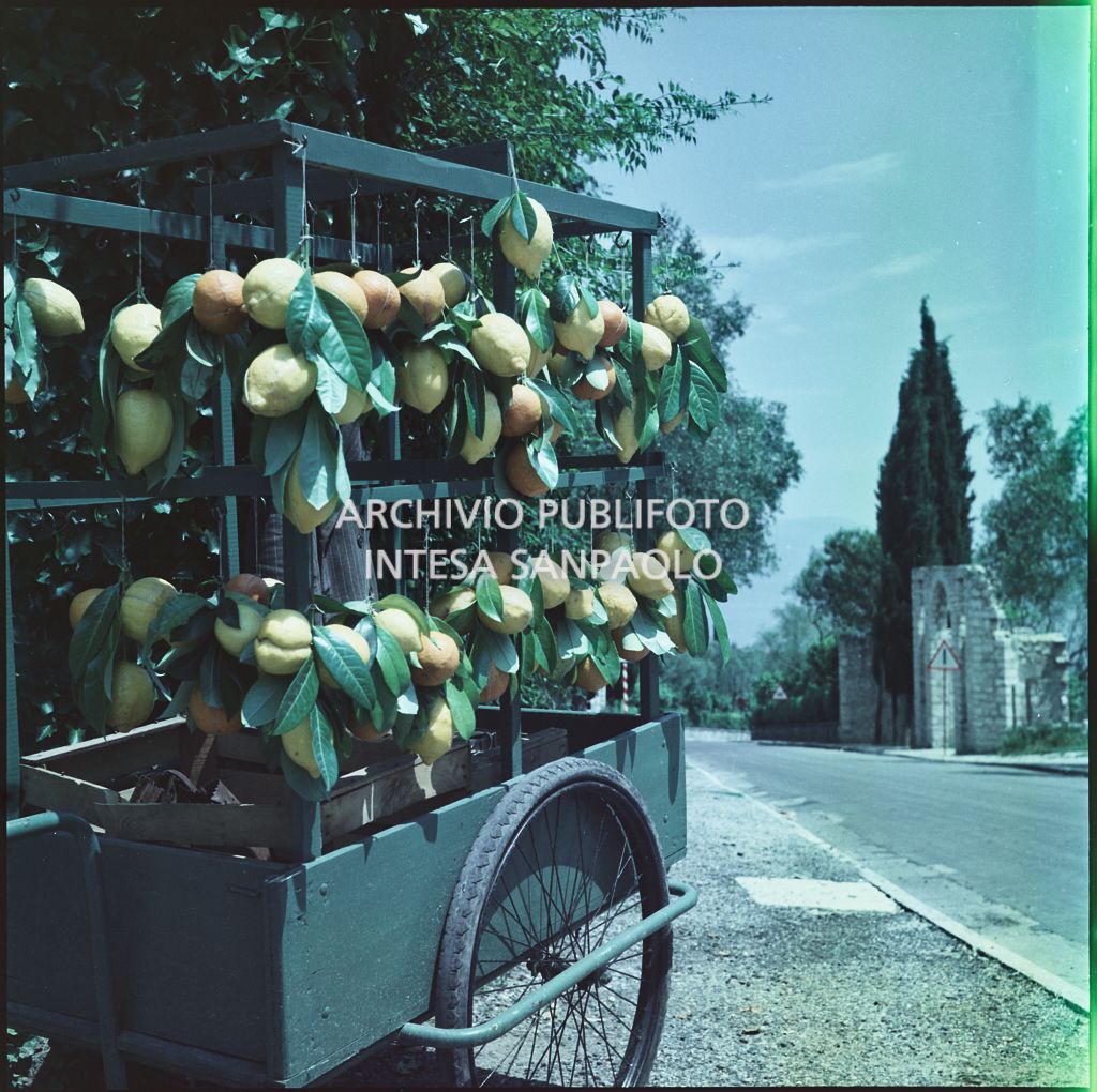 Carretto di arance e limoni sul ciglio di una strada<br>365