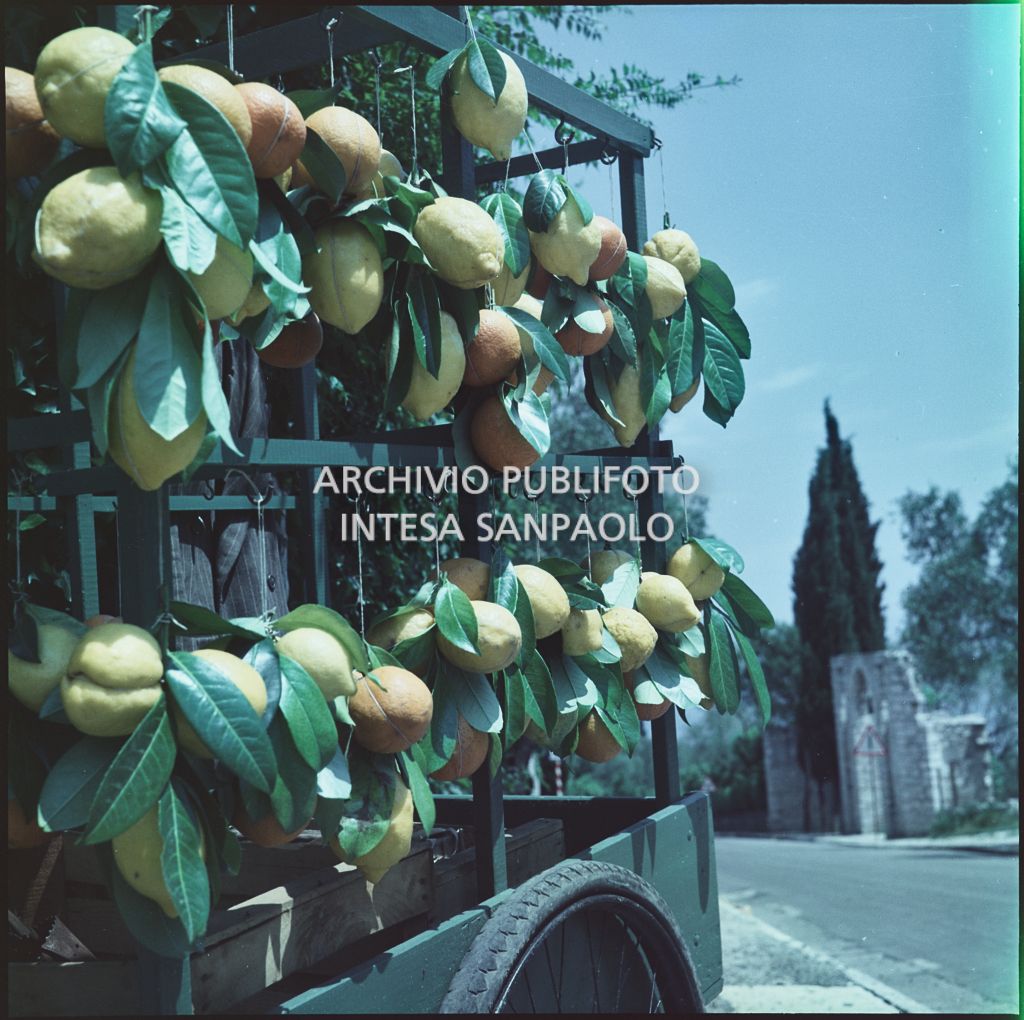 Carretto di arance e limoni sul ciglio di una strada<br>366