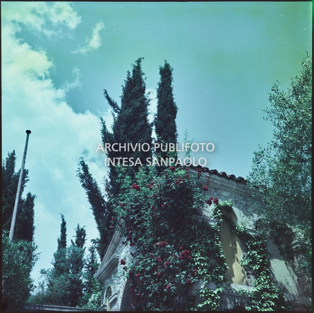 Il giardino del Vittoriale degli Italiani a Gardone Riviera<br>371