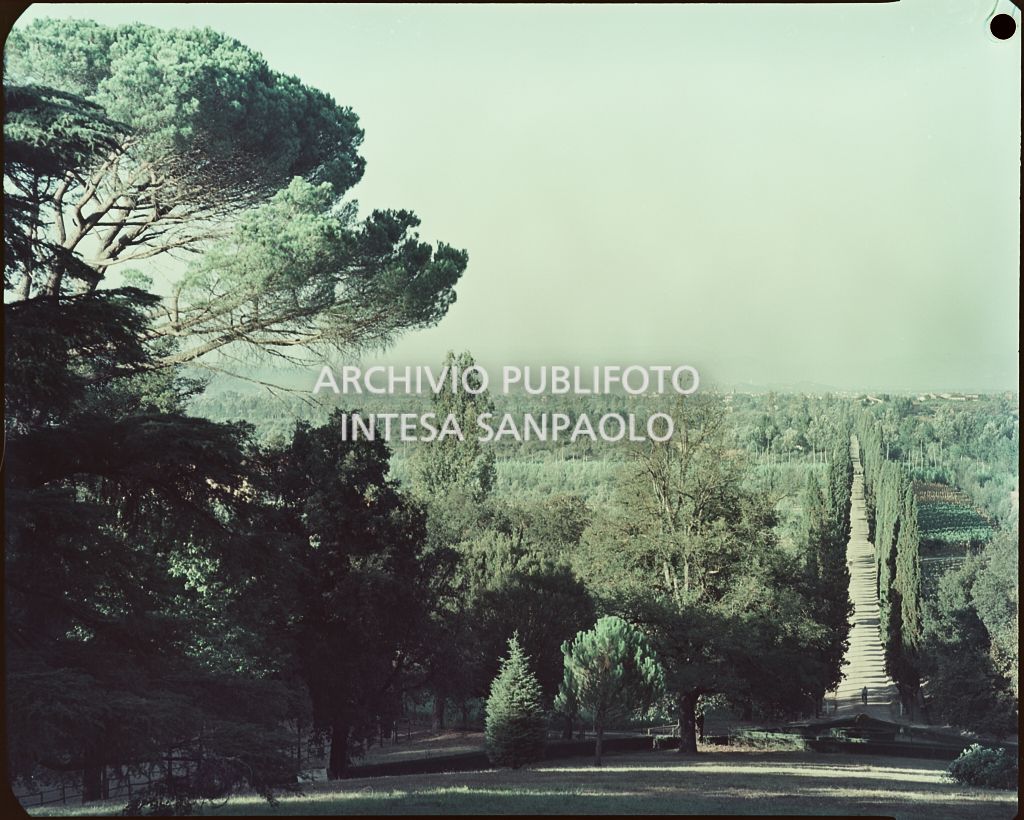 Veduta del paesaggio circostante la villa<br>811