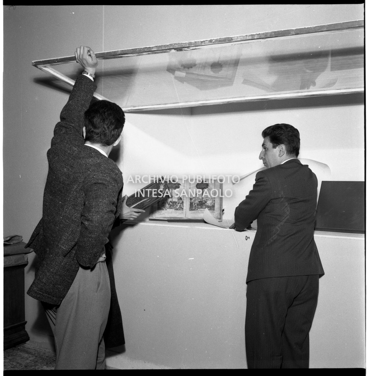 Ultimazione dell'allestimento della Mostra<br>455548