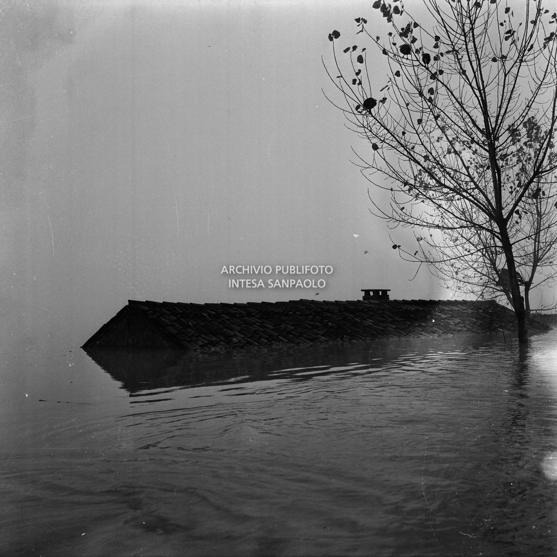 Un casolare sommerso dall'acqua nelle campagne alluvionate del Polesine