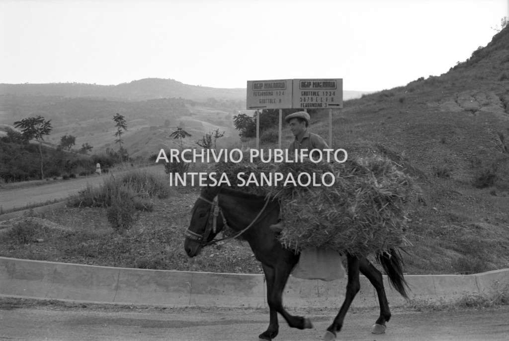 Un uomo a dorso di un asino nei pressi degli impianti petroliferi dell'ENI a Ferrandina (Matera)