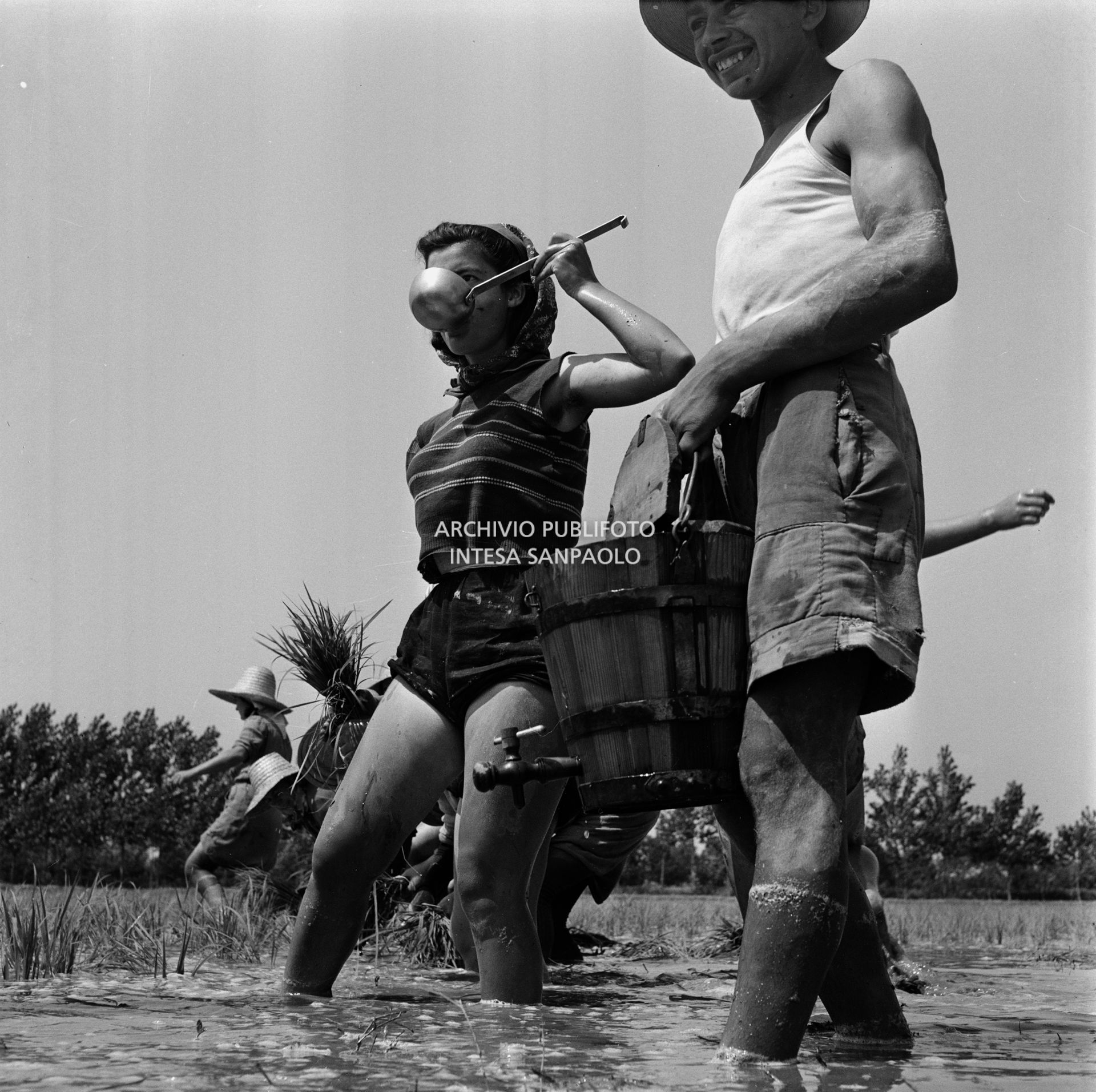 Una mondina beve, durante una pausa dal lavoro, nei campi nei dintorni di Binasco
