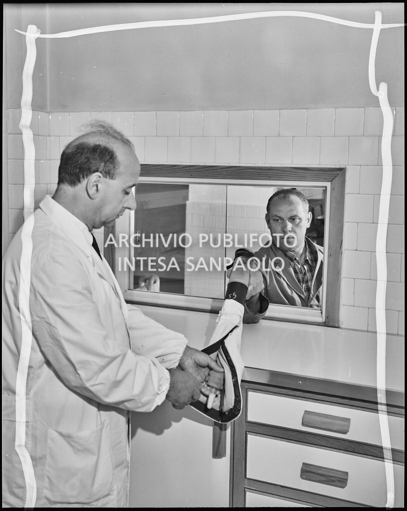 Interno del laboratorio, il seme prelevato viene depositato per la conservazione<br>20299/12