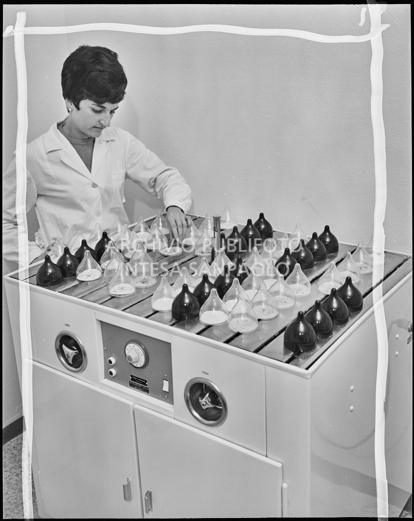 Interno del laboratorio<br>20299/31