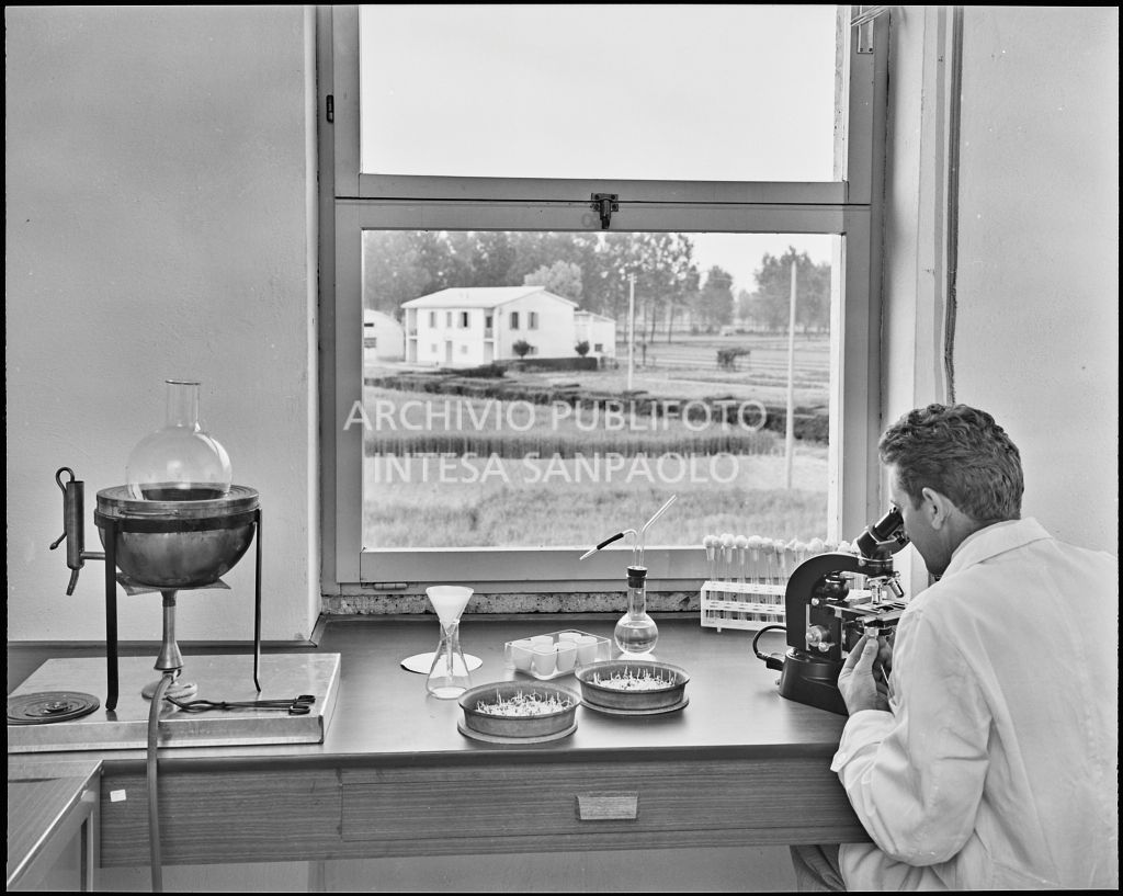 Un uomo al lavoro all'interno del laboratorio<br>20299/36