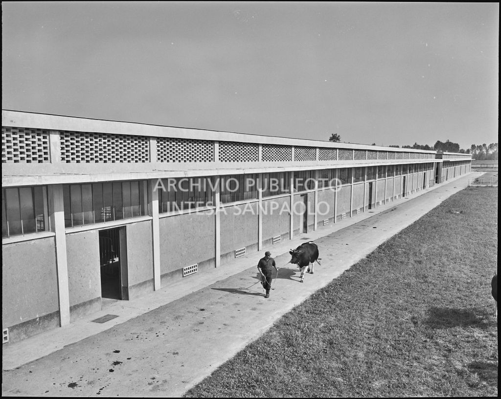 Esterno con vista delle stalle<br>20299/56a