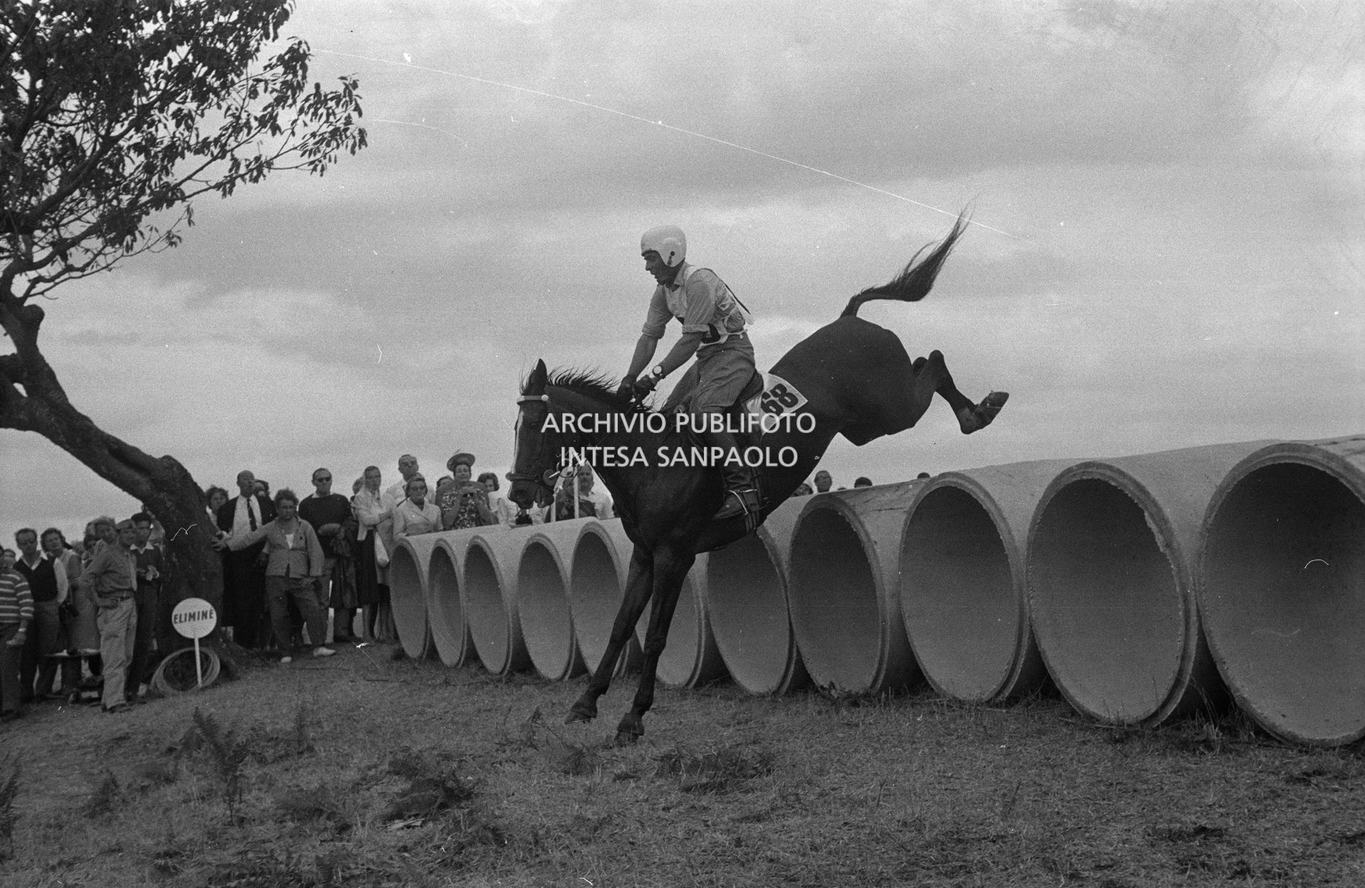 Un momento delle competizioni d'equitazione, XVII Olimpiade a Roma