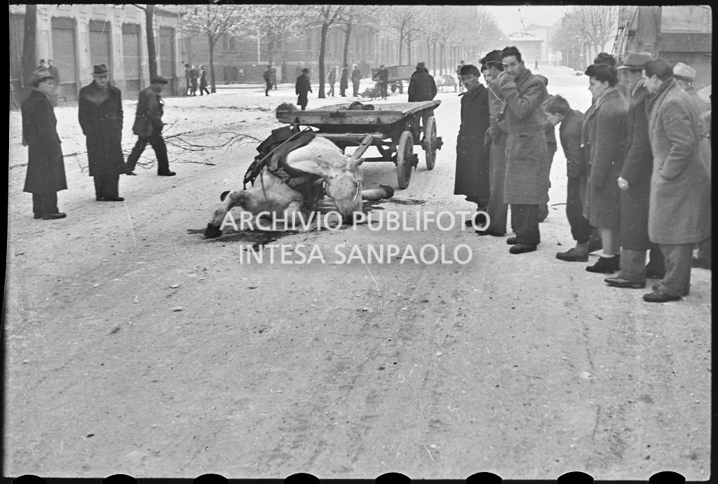 Cavallo morto ancora attaccato al carro che trainava; passanti osservano la scena<br>26643