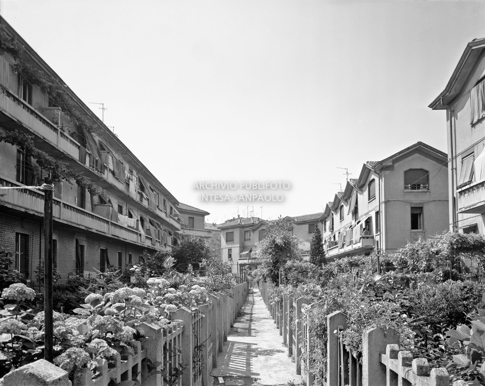 Istituto Case Popolari, interno con giardino delle abitazioni di via Mariotto Albertinelli