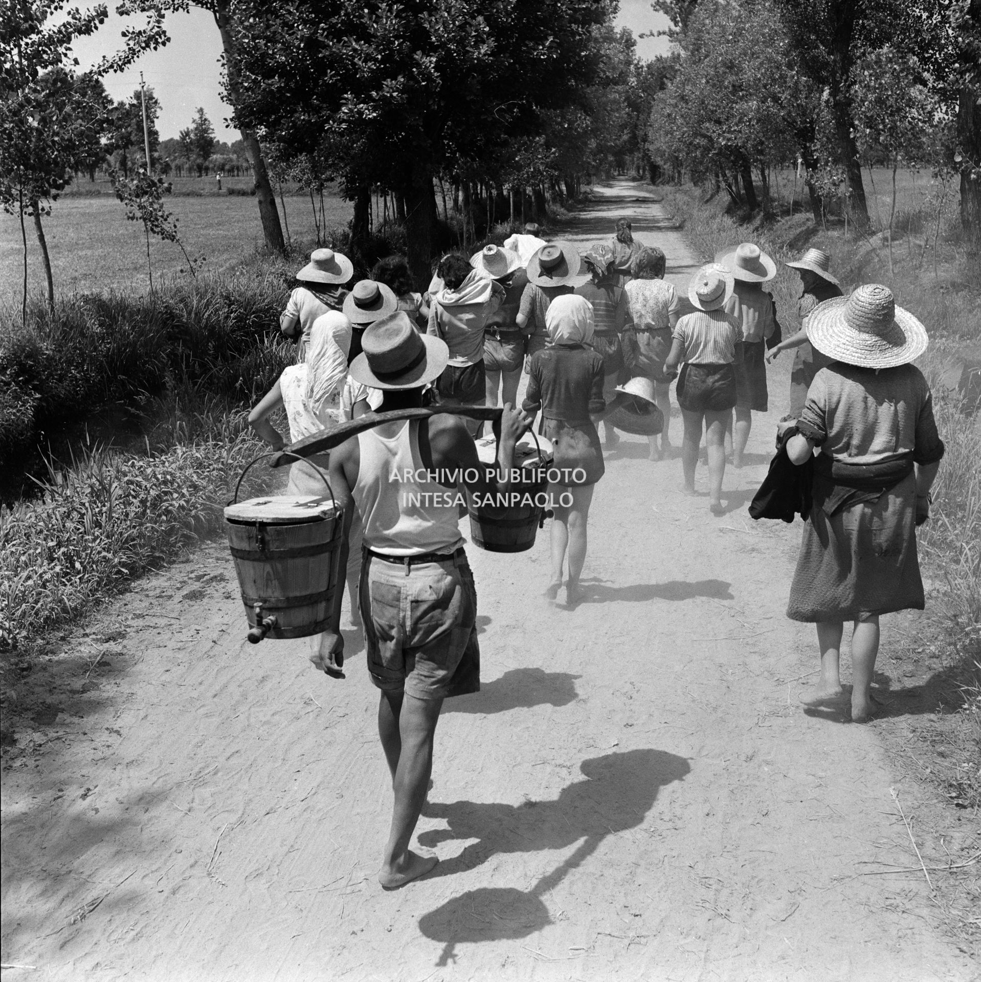 Mondine lungo una strada sterrata nei dintorni di Binasco