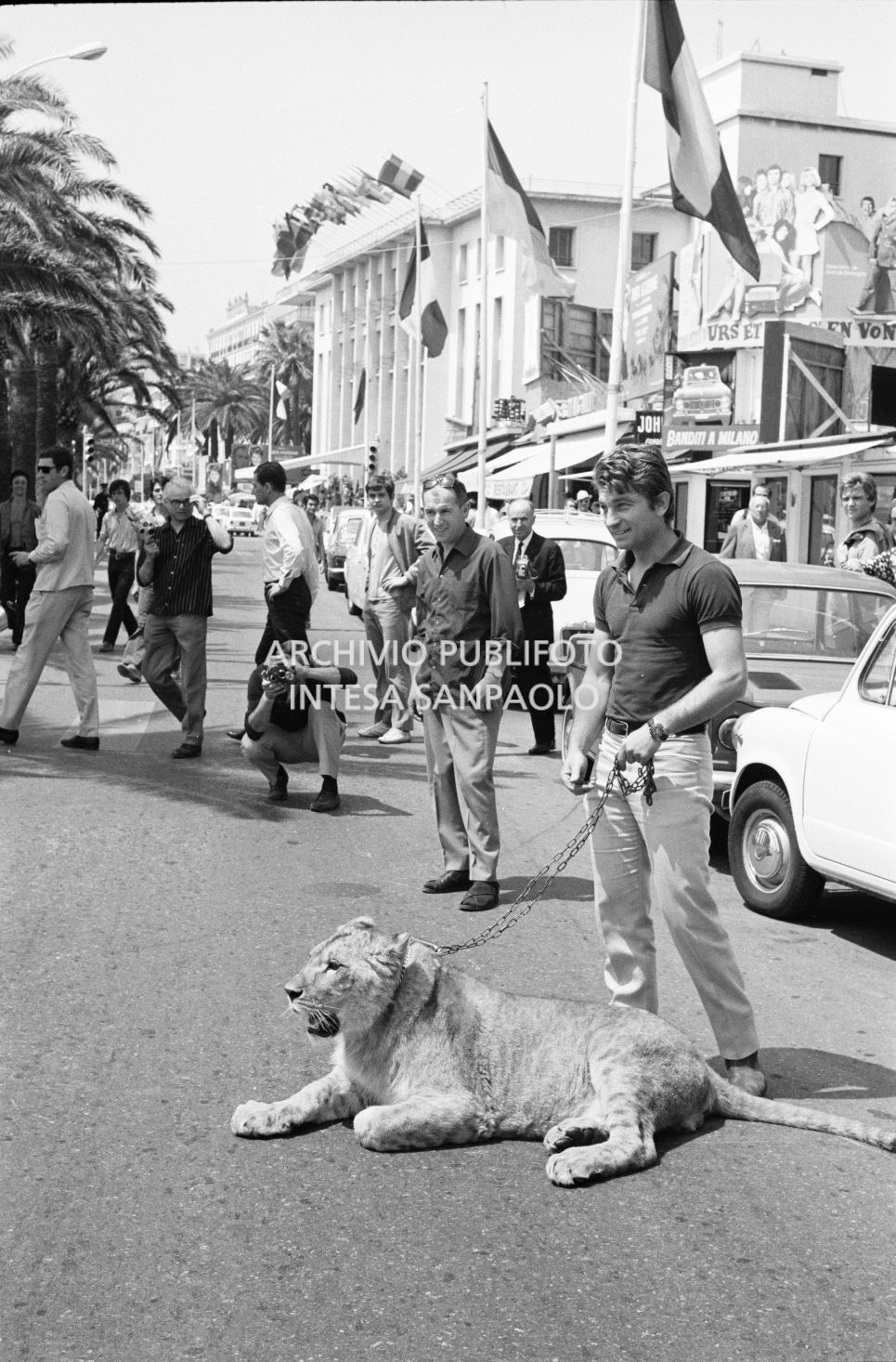 Un uomo in posa con una giovane leonessa alla catena, per le vie di Cannes, tra i passanti incuriositi
