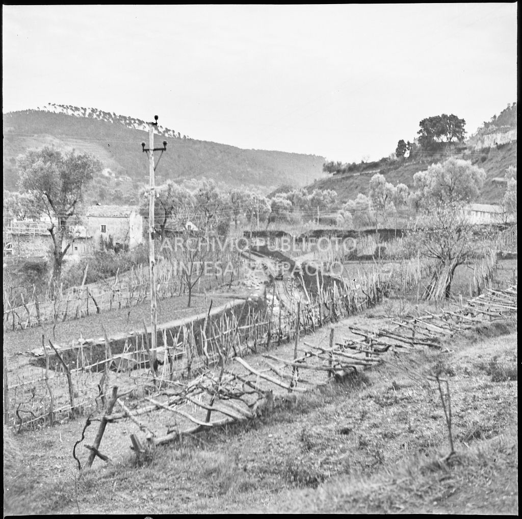 Scorcio della campagna nelle vicinanze dello stabilimento Belsana<br>26682