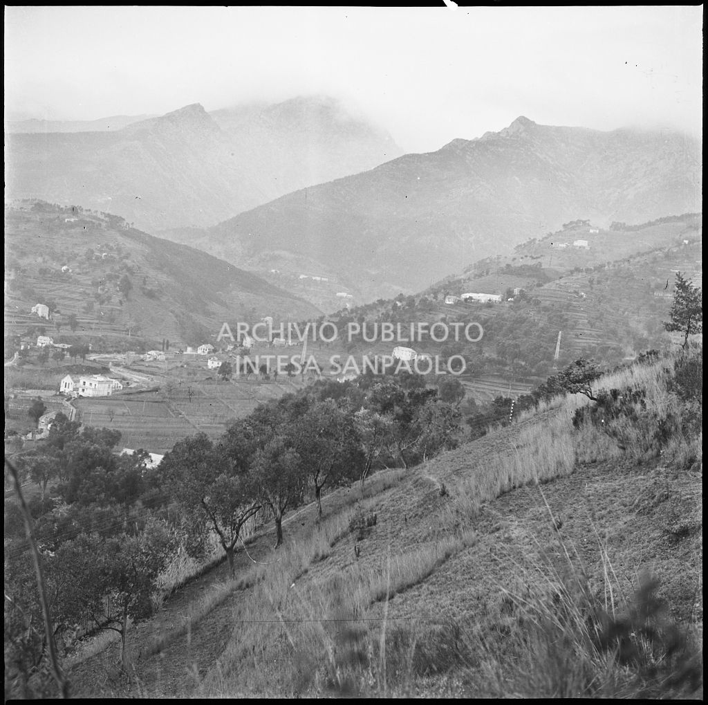 Veduta della valle dove sorge lo stabilimento Belsana<br>26689