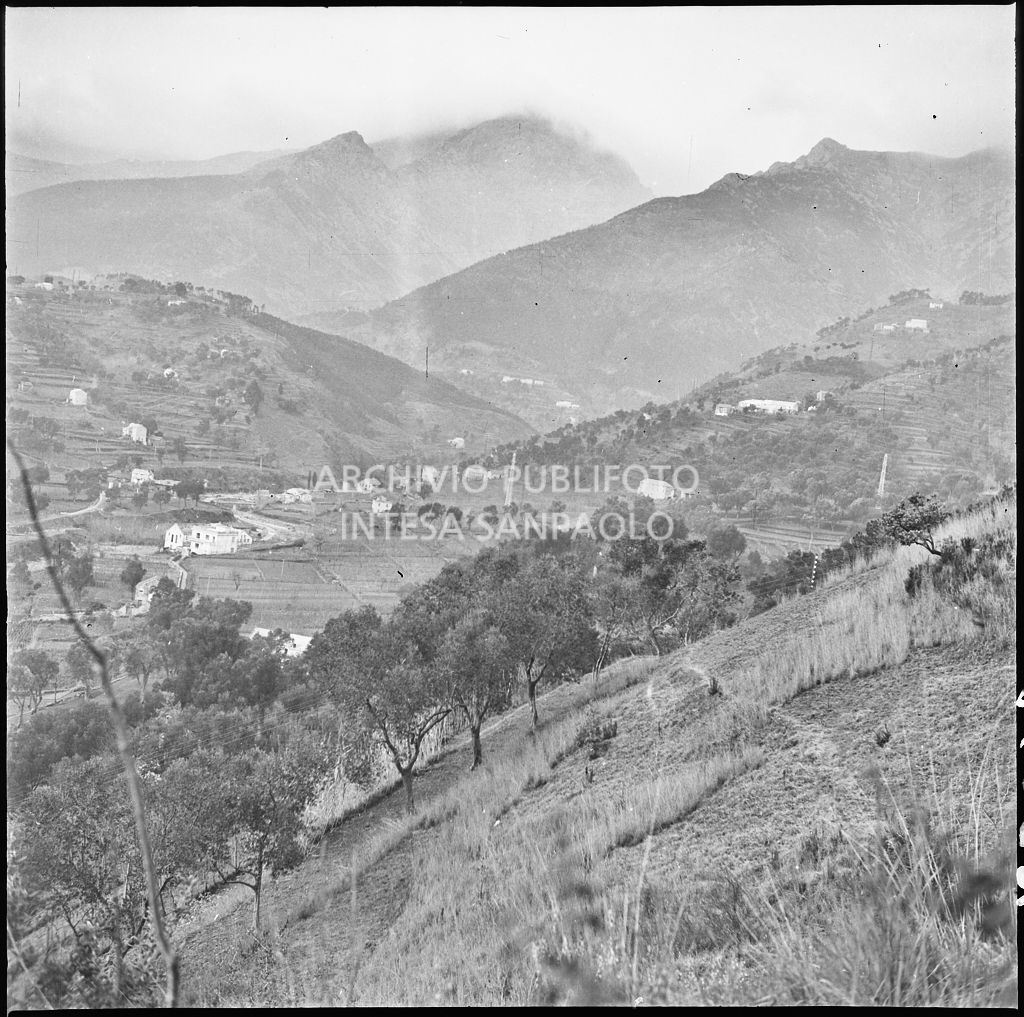 Veduta della valle dove sorge lo stabilimento Belsana<br>26695