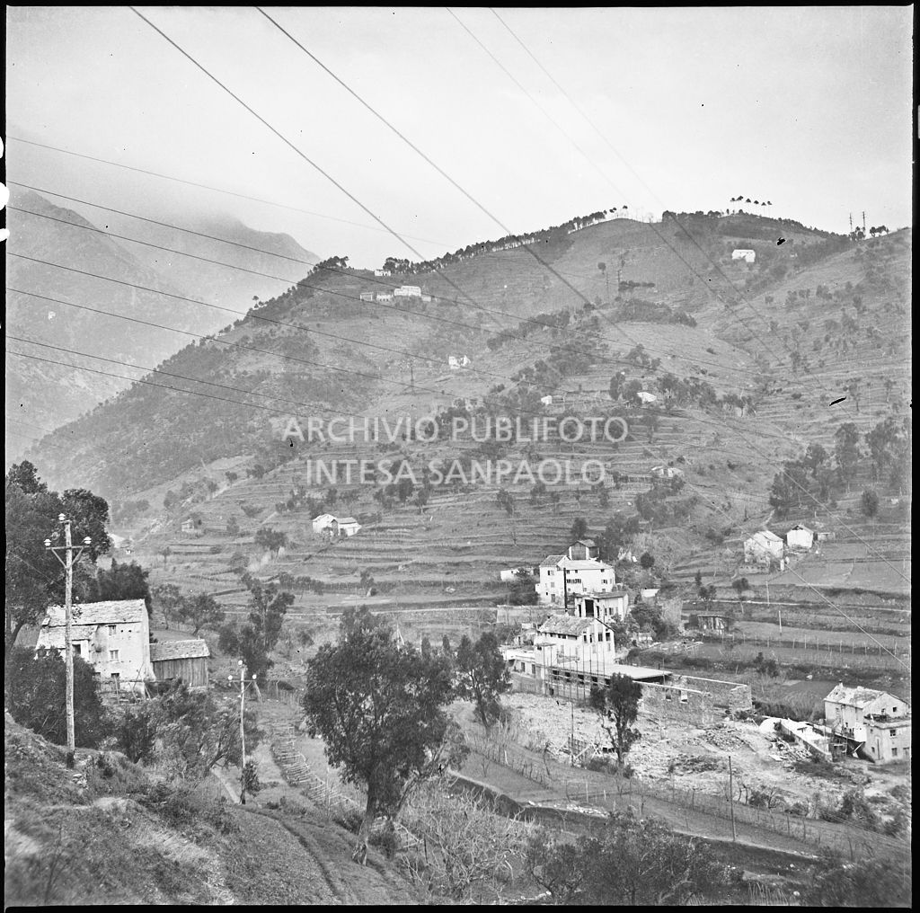 Veduta della valle dove sorge lo stabilimento Belsana<br>26705