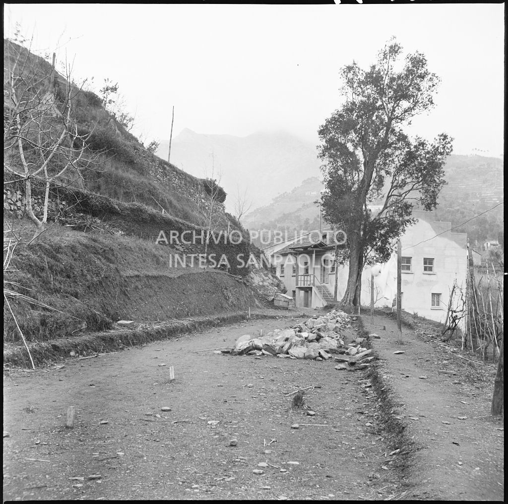 Area nei pressi dello stabilimento Belsana<br>26717