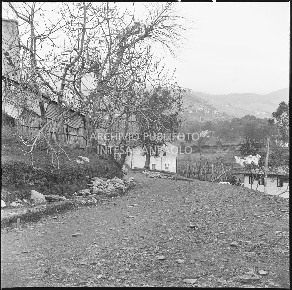 Area nei pressi dello stabilimento Belsana<br>26718