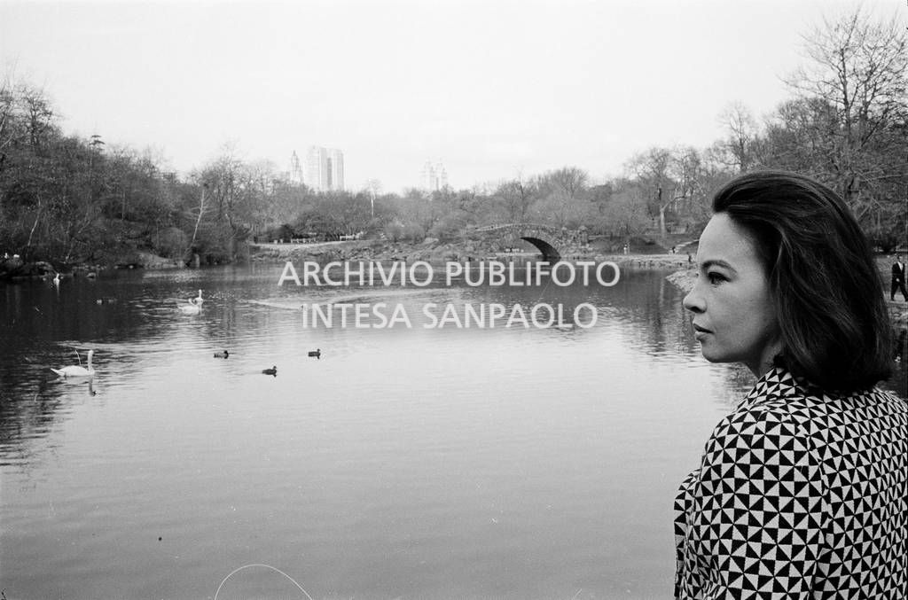 Leslie Caron ritratta davanti al laghetto di Central Park a New York<br>727365/6