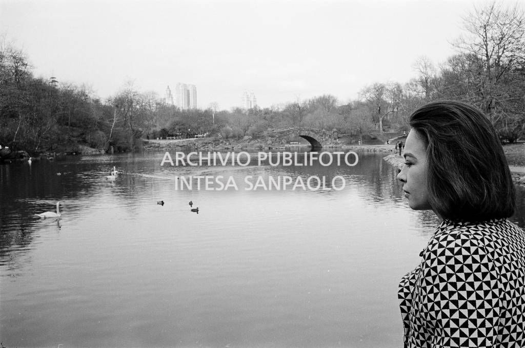 Leslie Caron ritratta davanti al laghetto di Central Park a New York<br>727365/7