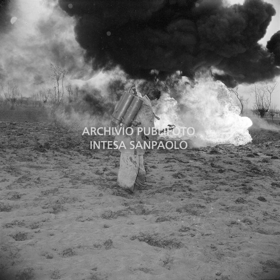 Un uomo brucia con il lanciafiamme le carcasse degli animali annegati nell'alluvione del Polesine, nei pressi di Villamarzana<br>114870