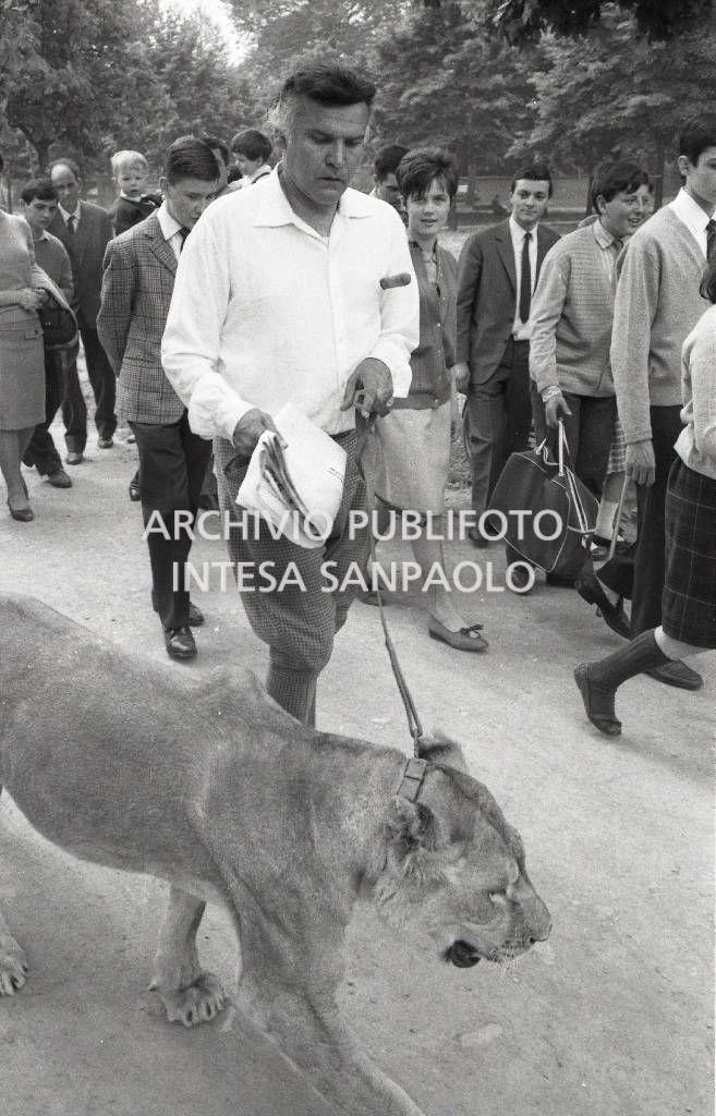 Orlando Orfei a passeggio con la leonessa Sophia al guinzaglio al Parco di Monza<br>722926/2