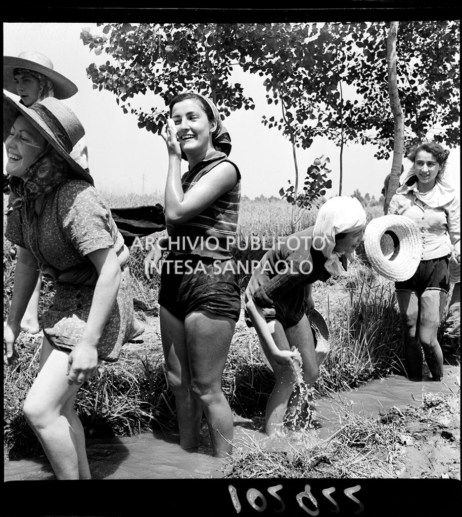 Mondine al lavoro nei campi nei dintorni di Binasco