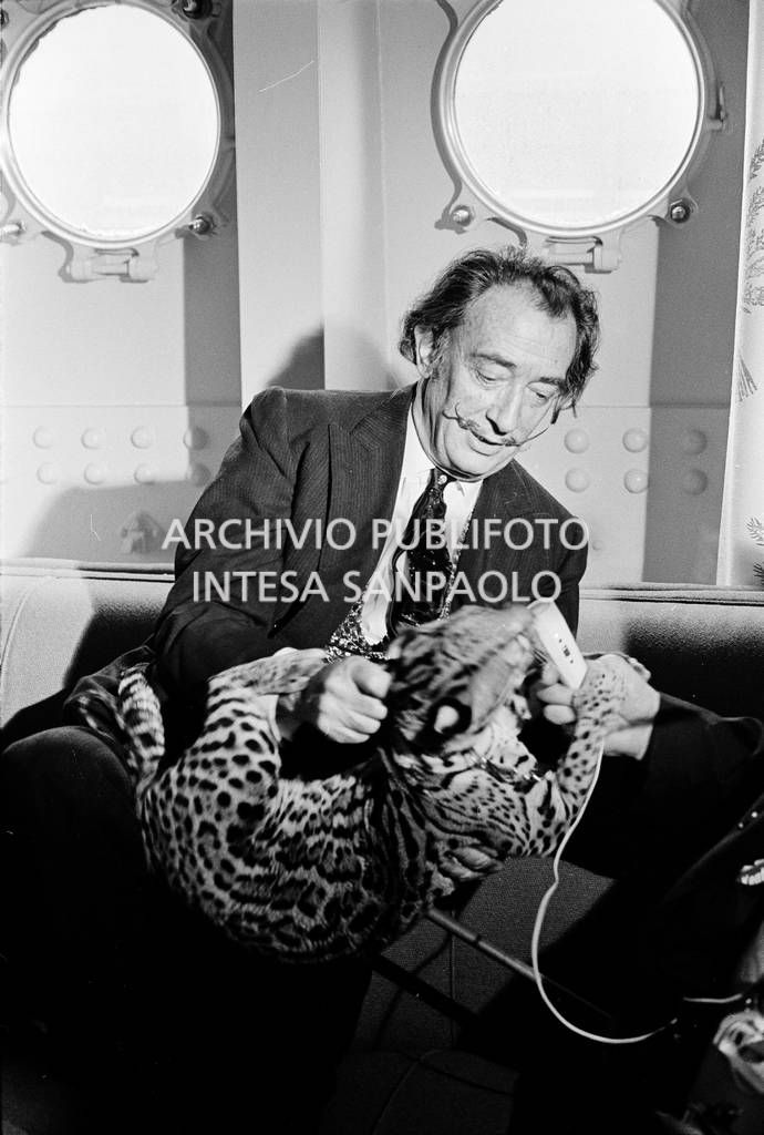Salvador Dalì gioca con il suo ocelot Babou durante un'intervista