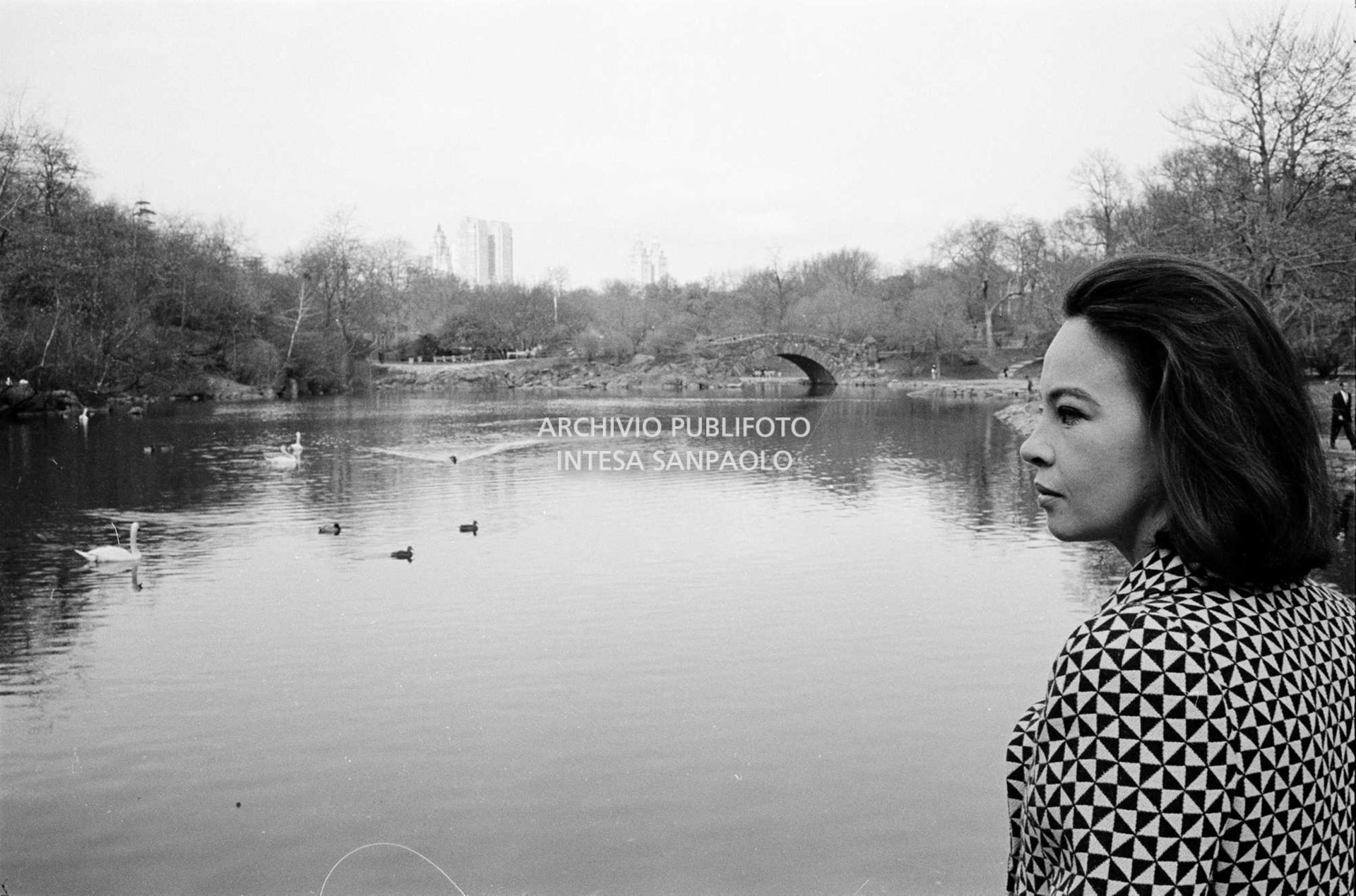 Leslie Caron ritratta davanti al laghetto di Central Park a New York
