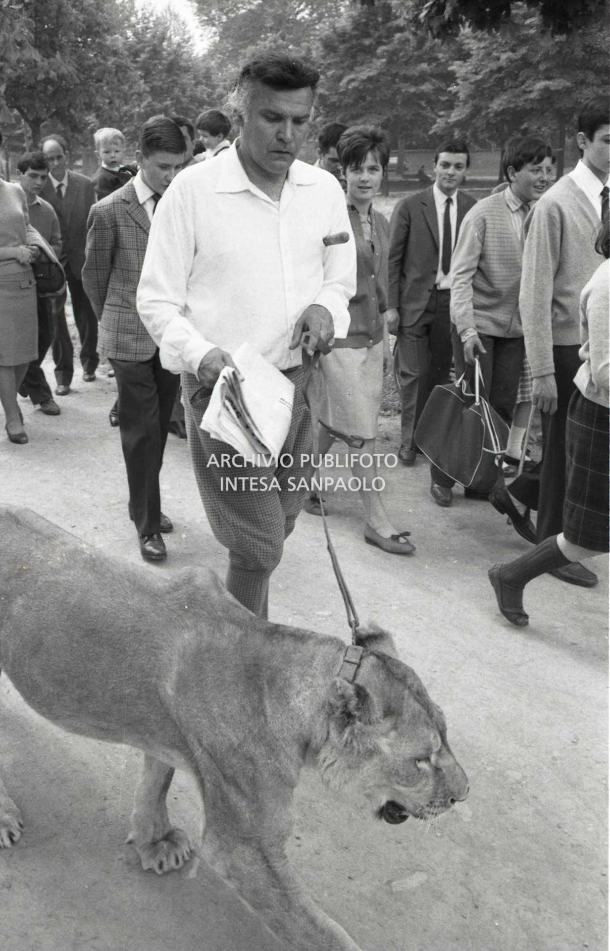 Orlando Orfei a passeggio con la leonessa Sophia al guinzaglio al Parco di Monza