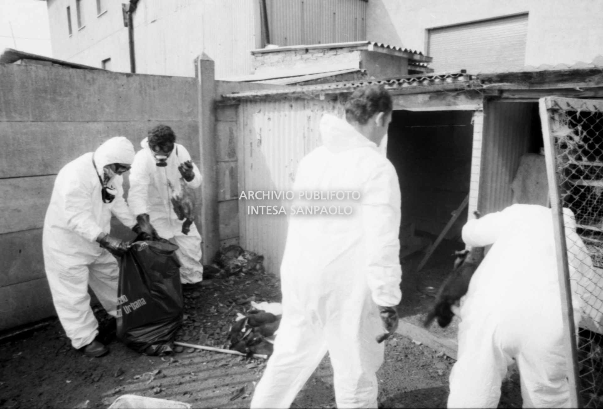Addetti alla disinfestazione: si raccolgono gli animali morti a causa della nube di diossina sprigionatasi dallo stabilimento dell'ICMESA a Meda