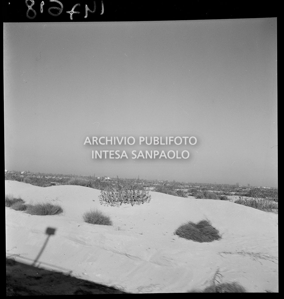 Rimozione della sabbia portata dall'alluvione<br>147618