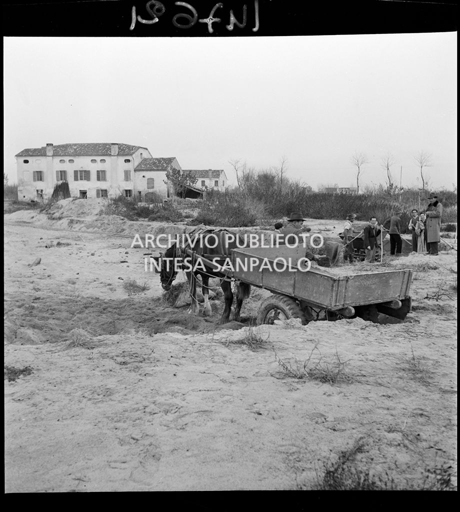 Rimozione della sabbia portata dall'alluvione<br>147621