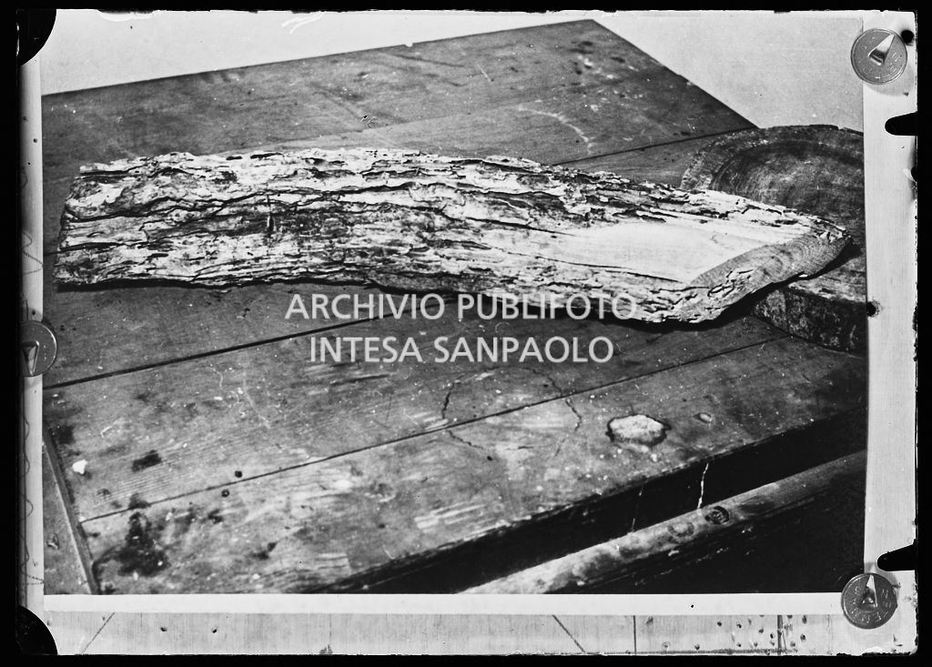 Trave danneggiata dalle termiti proveniente dalla soffitta della Palazzina della Meridiana di Palazzo Pitti a Firenze<br>210701