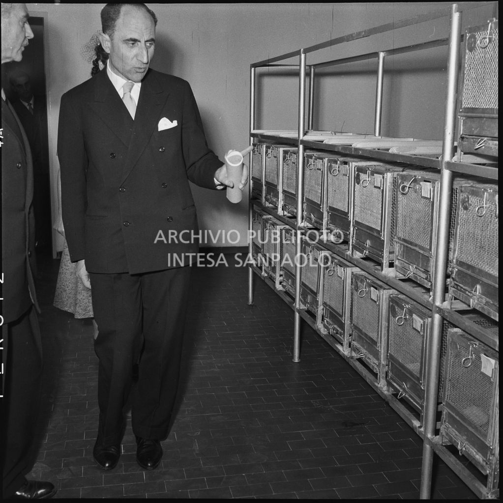 L'alto commissario aggiunto per l'igiene e la sanità pubblica Beniamino De Maria osserva le gabbie delle cavie da laboratorio in occasione dell'inaugurazione dell'Istituto Vaccinologo Antitubercolare in via Clericetti a Milano<br>215649