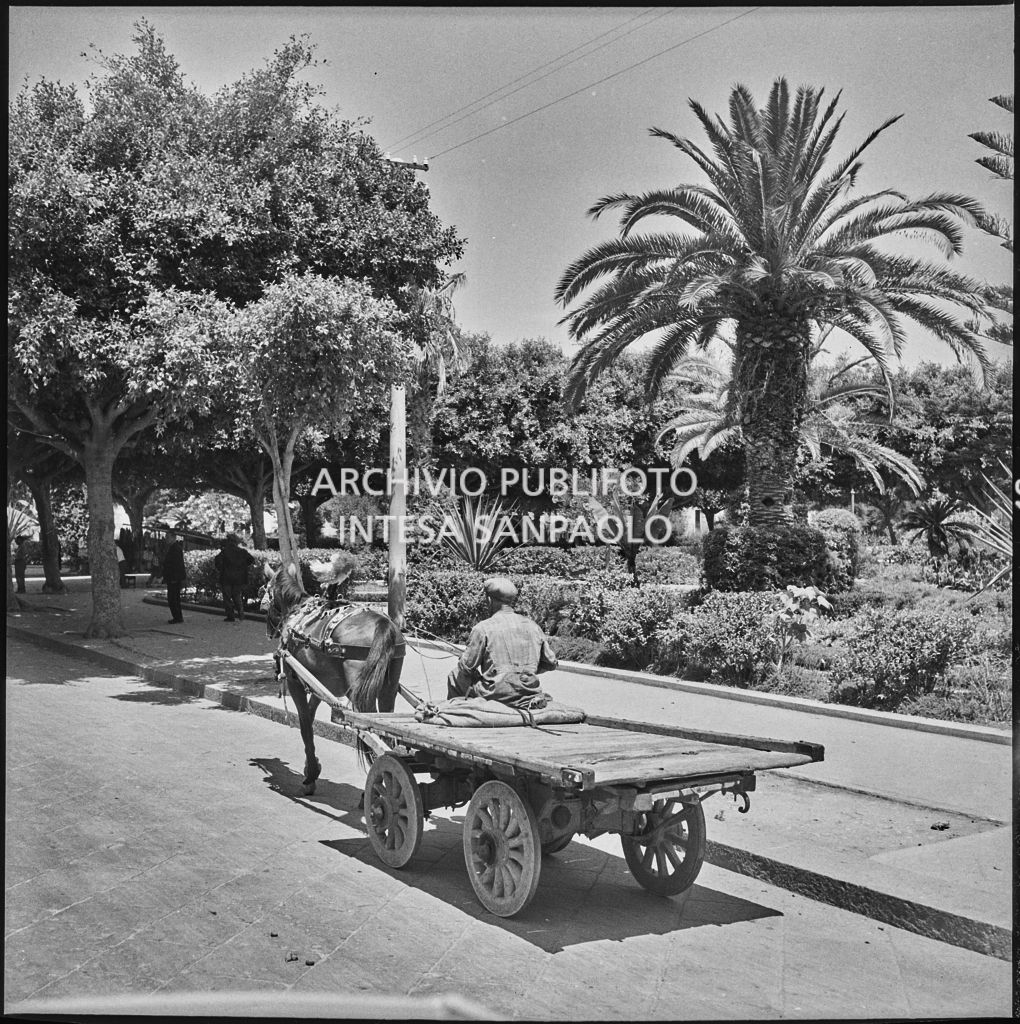 Carro trainato da un cavallo in una via di Siracusa<br>221890